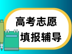 重庆高考志愿填报机构实力TOP榜名单